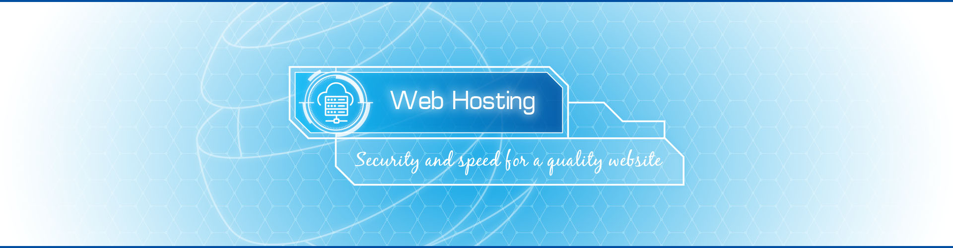 Professional Web Hosting