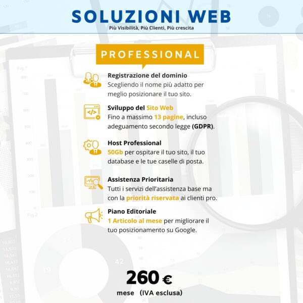 Pacchetto Web Professional