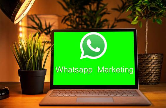 Marketing come utilizzare WhatsApp Business