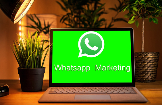 come utilizzare WhatsApp Business