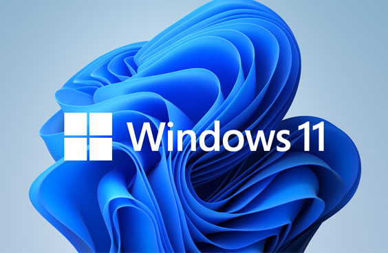 windows 11