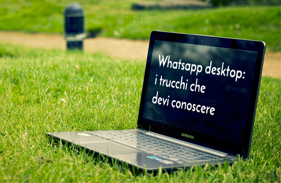 Whatsapp desktop e le novità del 2023