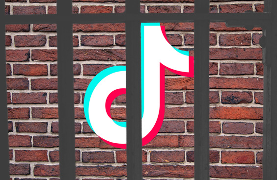 tiktok accusato per violazione di privacy