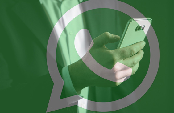 come usare sondaggi su WhatsApp per azienda