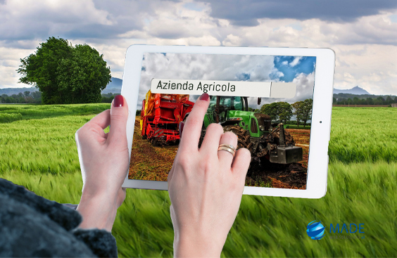 Sito Web per Azienda Agricola