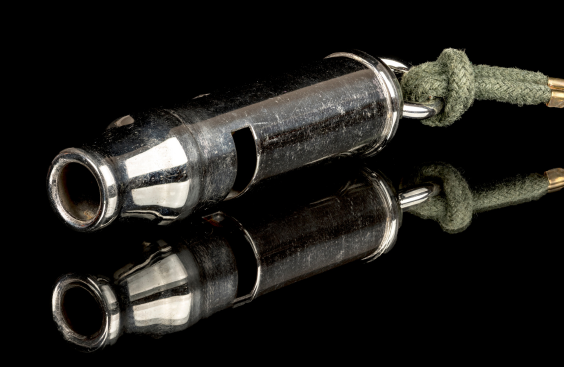 dog whistle dog whistle